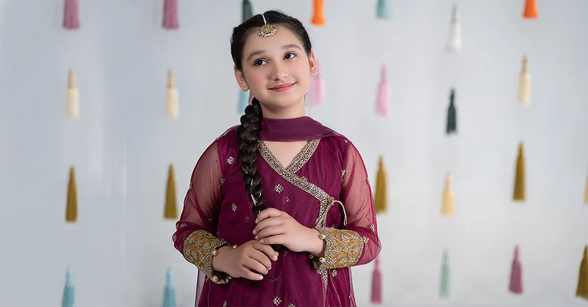 3 Piece Embroidered Net Suit | MKS-EA24-36