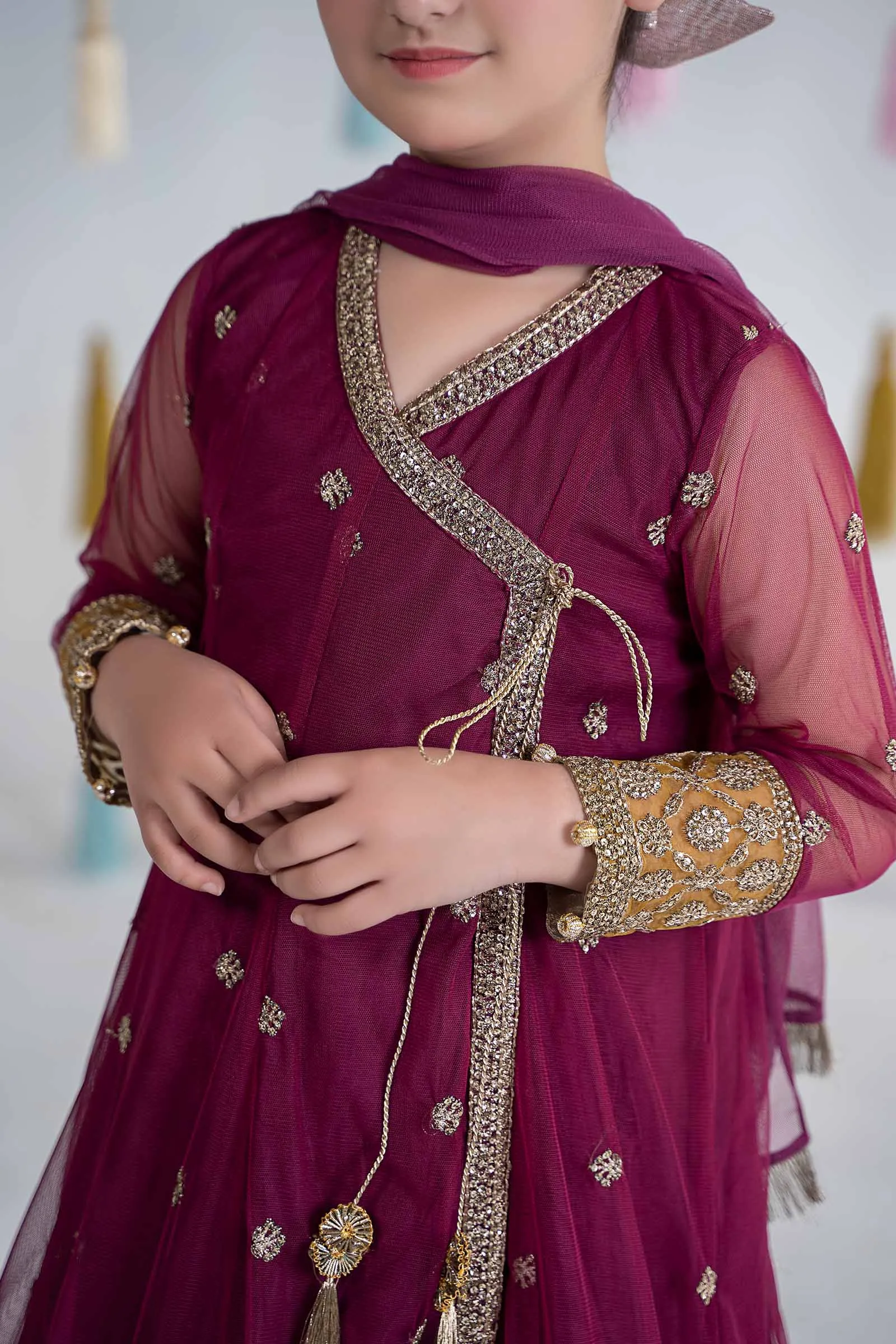 3 Piece Embroidered Net Suit | MKS-EA24-36