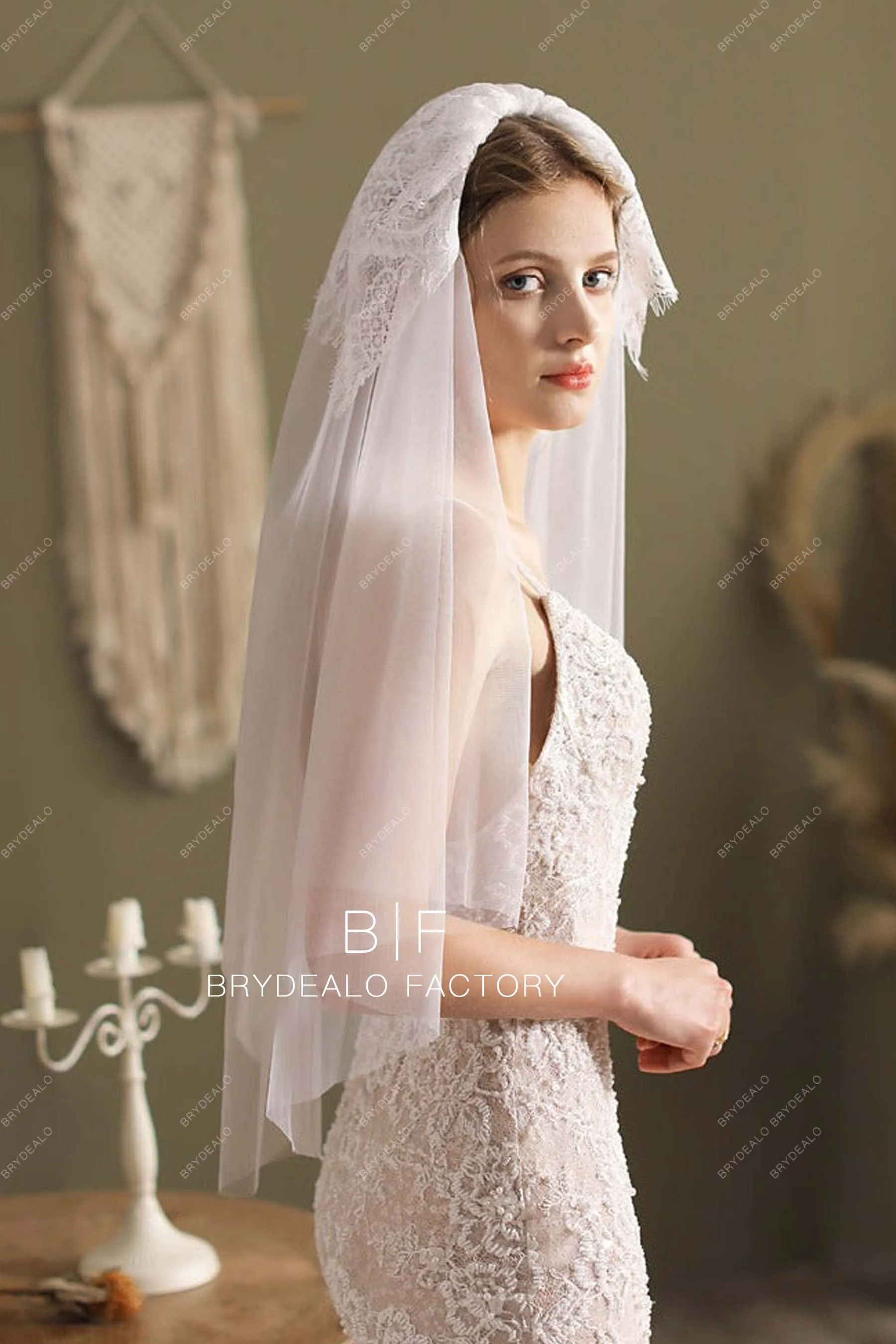 Elbow Length Wedding Veil Lace Adorned Raw Cut Veil