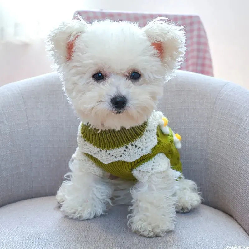 Kawaii Flower Knitwear for Pet